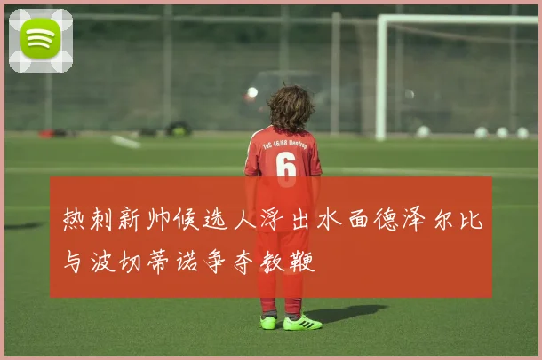 热刺新帅候选人浮出水面德泽尔比与波切蒂诺争夺教鞭