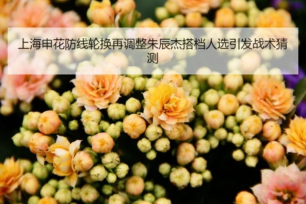 上海申花防线轮换再调整朱辰杰搭档人选引发战术猜测